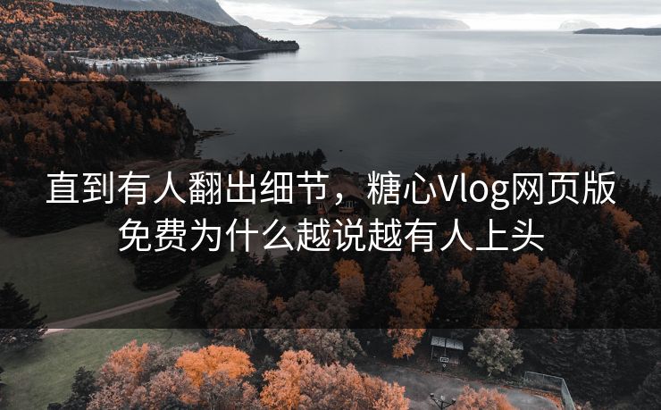 直到有人翻出细节，糖心Vlog网页版免费为什么越说越有人上头
