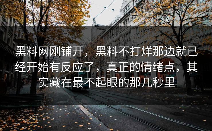 黑料网刚铺开，黑料不打烊那边就已经开始有反应了，真正的情绪点，其实藏在最不起眼的那几秒里