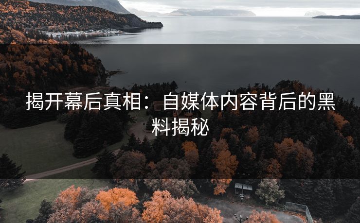 揭开幕后真相：自媒体内容背后的黑料揭秘