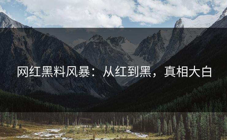 网红黑料风暴:从红到黑,真相大白 网红黑料风暴:从红到黑,真相大白